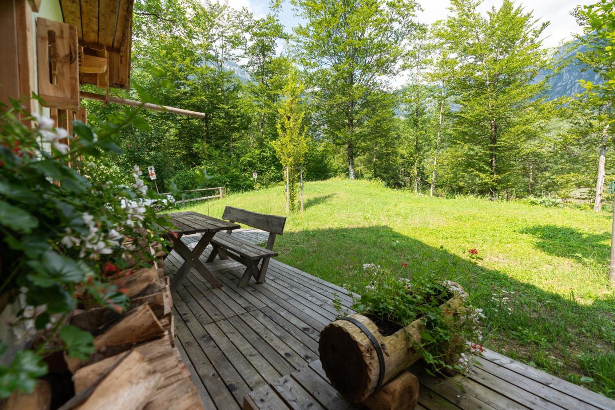 Chalet Alpik - Bohinj