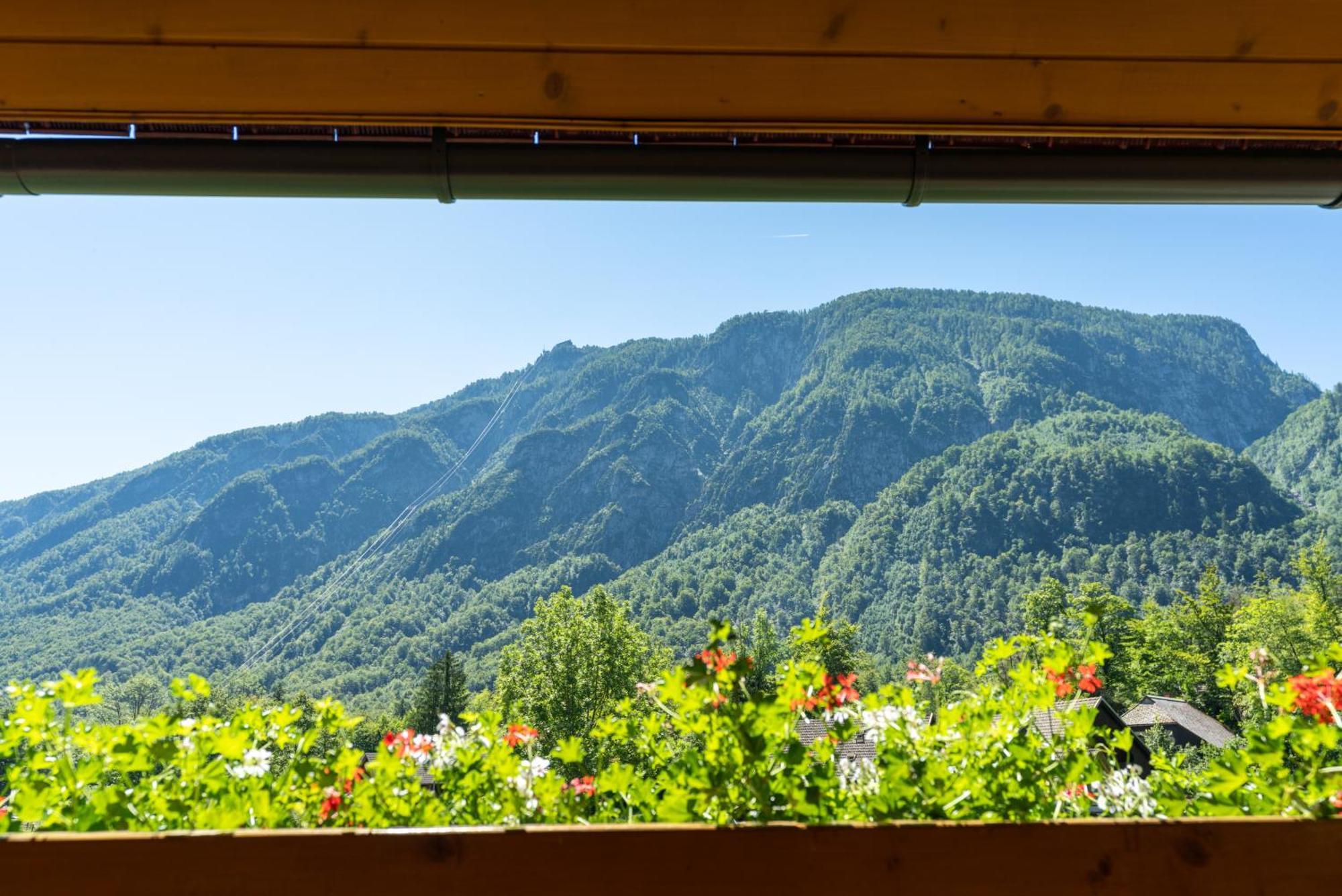 Alpik - Chalet