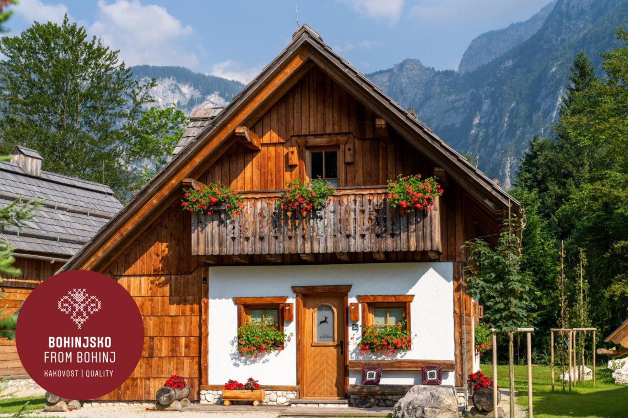 Alpik - Bohinj